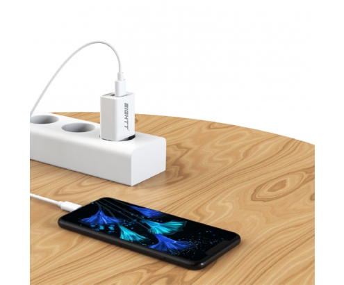 Eightt Cargador Smartphone / Tablet Micro USB 5V 2.4A con cable Micro USB