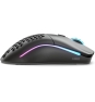Glorious PC Gaming Race Model O ratón Juego mano derecha USB tipo A Óptico 12000 DPI