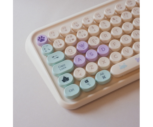 TANOOKI PC Pack Keyboard + Mouse